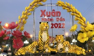 “Gia đình hổ” bỗng dưng nổi tiếng ở Bạc Liêu