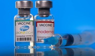 Tiêm liều thứ 3 vắc-xin Moderna bằng nửa liều cơ bản