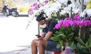 Chợ hoa Tết lớn nhất Đà Nẵng đang ế