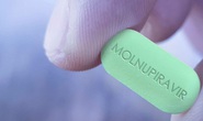 Kiểm tra việc kinh doanh thuốc Molnupiravir điều trị Covid-19