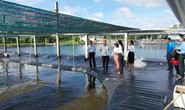 Agribank Chi nhánh huyện Cù Lao Dung tiếp sức về vốn, phát triển kinh tế địa phương