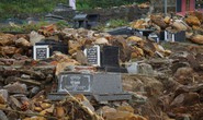 Nghĩa trang lớn nhất Đà Nẵng: 610 ngôi mộ bị vùi lấp, quân và dân cùng khắc phục hậu quả