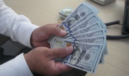 Vì sao Ngân hàng Nhà nước tăng biên độ tỉ giá VNĐ/USD lên 5%?