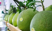 Bưởi tươi Việt Nam được cấp phép vào Mỹ