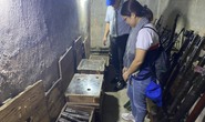 Ý nghĩa chương trình về nguồn Theo dấu chân Biệt Động Sài Gòn*
