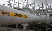 Phương Tây, OPEC+ thêm rạn nứt