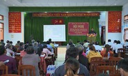 Bình Định kiến nghị tạm dừng chuyển đất rừng làm siêu dự án 56.200 tỉ đồng