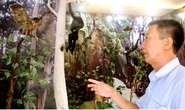 CLIP: Đến Thánh địa Cát Tiên, ngỡ ngàng nghe vượn hót