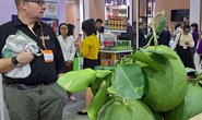 Nhiều đoàn Mỹ, Nhật, Pháp đến TP HCM tìm mua trái cây, thực phẩm chế biến