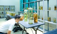 Cận cảnh phòng giải phẫu xác người của Trường Đại học Y Hà Nội