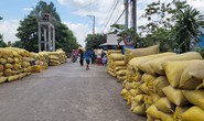 Tăng thu nhập cho nông dân