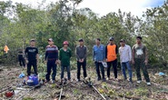Bắt quả tang 2 vụ phá rừng liên tiếp ở Phú Quốc