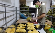 Bộ trưởng Lê Minh Hoan lo nông dân đổ xô trồng sầu riêng, chanh leo