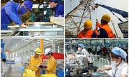 Lao động dôi dư khi sắp xếp lại công ty TNHH do Nhà nước nắm 100% vốn điều lệ được hưởng chính sách gì?