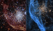 NASA chia sẻ hình ảnh ngoạn mục về cụm sao cầu 100 triệu năm tuổi