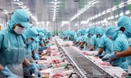 ADB nâng dự báo tăng trưởng kinh tế Việt Nam