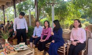 Du lịch Tết dương lịch kén khách