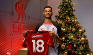 Liverpool cướp Cody Gakpo, Man United vuột chữ ký sao Hà Lan