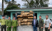 Kỳ lạ hàng chục phách gỗ vô chủ ở bãi đất trống