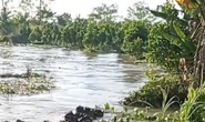 CLIP: Sạt lở kinh hoàng tại Vĩnh Long, 12 căn nhà trôi sông