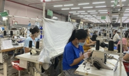 Thừa Thiên - Huế giới thiệu việc làm mới cho hơn 1.000 lao động