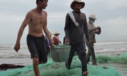 Đầu năm, theo ngư dân hết thời đi kéo lưới rùng
