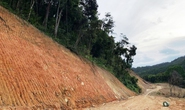 Đoàn công tác của Bộ Quốc phòng kiểm tra vụ phá rừng đặc dụng làm đường Trường Sơn Đông