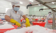 Doanh nghiệp nỗ lực trở lại đường đua
