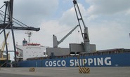 Vinacas muốn được Interpol Việt Nam hỗ trợ vụ 36 container điều bị mất kiểm soát