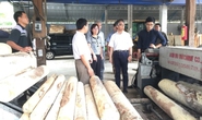 Doanh nghiệp nỗ lực trở lại đường đua (*): Ngành gỗ chống đỡ khó khăn