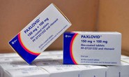 Tin vui cho nước nghèo về thuốc trị Covid-19 Paxlovid