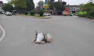 Lại mất nắp cống thoát nước