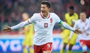 5 anh hào châu Phi theo chân Ba Lan, Bồ Đào Nha đến World Cup 2022