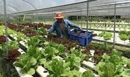 Cảnh báo tình trạng lừa đảo lợi dụng chương trình lao động nông nghiệp tại Úc