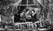 Tuần phim cách mạng Việt Nam Những góc nhìn trẻ