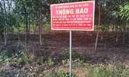 Thêm hàng loạt sai phạm đất đai ở Đồng Nai