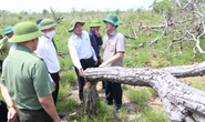 Bí thư, chủ tịch tỉnh Đắk Lắk kiểm tra hiện trường vụ phá rừng gây xôn xao dư luận