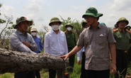 Vụ phá rừng lớn nhất tỉnh Đắk Lắk: Lãnh đạo xã tự nhận hình thức cách chức