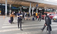 Khách đang tăng mạnh, sân bay Tân Sơn Nhất cấp tập chống nghẽn