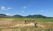 11 dự án nông nghiệp dở dang ở Quảng Ngãi