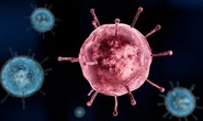 Virus cúm mùa là hậu duệ của sát thủ từng giết 100 triệu người?