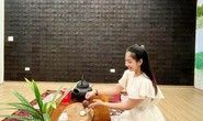 Độc đáo ngôi nhà làm từ hơn 2 tấn trà Shan Tuyết cổ thụ ở Hà Giang