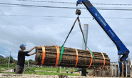 Cận cảnh cặp bánh tét siêu to khổng lồ dâng cúng Bà Chúa Xứ núi Sam