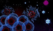 Bệnh nhân đầu tiên được tiêm virus diệt 5 loại ung thư