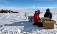 MRI Trái Đất hé lộ thế giới khác đầy sinh vật lạ bên dưới Nam Cực