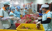 Phát huy nguồn lực kiều bào để xuất khẩu hàng Việt