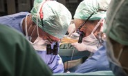 Đột phá trong ghép tạng: Máy “tái sinh” và nuôi gan người ngoài cơ thể nhiều ngày
