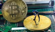Giá Bitcoin lao dốc, thợ đào tiền ảo đối mặt khó khăn chồng chất