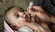 WHO đã xác định nguồn phát tán virus tuyệt tích 42 năm tái xuất trong nước thải