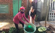 Virus gây sốt xuất huyết ở Bình Phước là chủng có độc lực mạnh